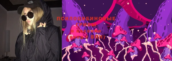спайс Алзамай