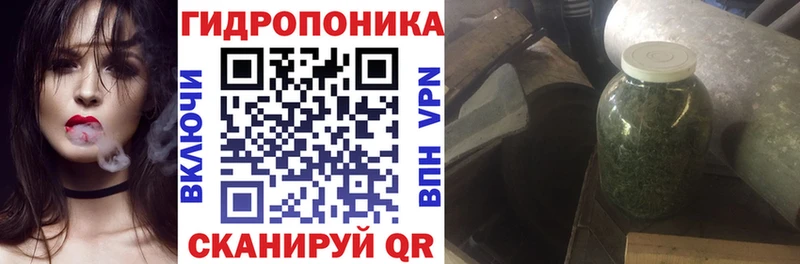 Канабис конопля Бирюч